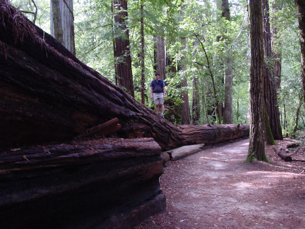 California 050