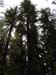 California 047
