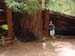 California 048