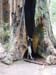 California 054