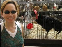 Nina and Big Rooster