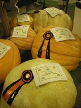 Great Pumpkin Contest Runner-Ups