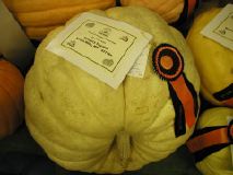 417-pound Great Pumpkin Winner