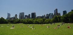 20040529-0077 Sheep meadow