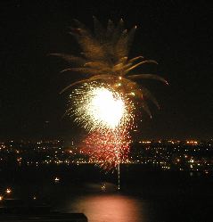 p4125120 Fireworks