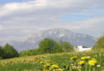 View from Universite Joseph Fornier