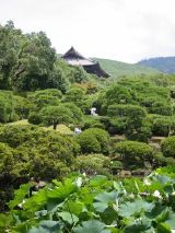 Isuien Garden, Nara